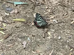 -碓臼峪自然风景区