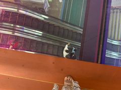 -四维羽毛球馆(北二中路店)