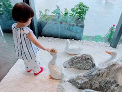 -京鸭棠中餐厅(唐人店)