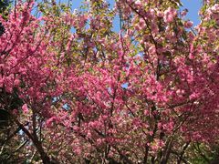 -白塘生态植物园