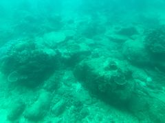 -亚龙湾海底世界