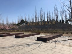 -永定河休闲森林公园