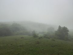 -大姆山草场