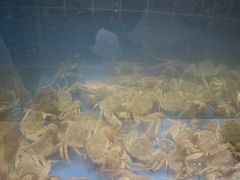 -川骄海鲜自助(亚运村店)