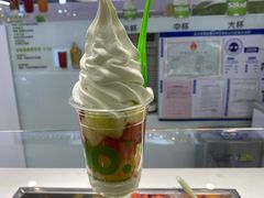 -Salud撒露欧洲冻酸奶(五道口购物中心店)
