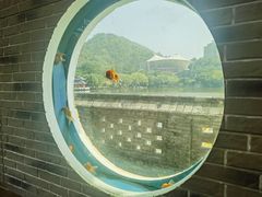 -珠海圆明新园
