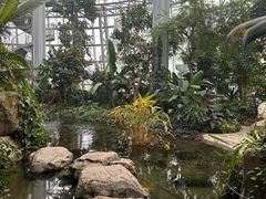 -郑州植物园