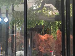 -院里寻菜·精致庭院菜(观沙岭店)