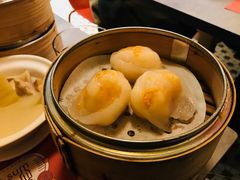 带子凤眼饺-点点心点心专门店(旺角店)