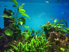 -太平洋海底世界