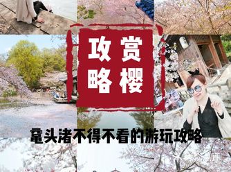 暴强鼋头渚赏樱攻略来啦!