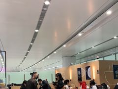 -麦当劳(北京大兴机场二层国内到达(安检外)店)