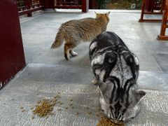 -李叔同故居纪念馆