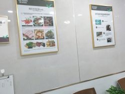 点击看大图 -新生植发·植养护一体