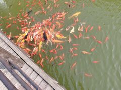 -南湾湖