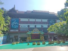 -西双版纳原始森林公园