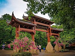 -杭州半山国家森林公园