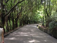 iphone_upload_pic-南沙天后宫景区