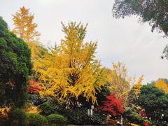 -岳麓山风景名胜区