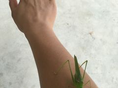 -牛背梁国家森林公园