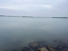 -漕湖湿地公园