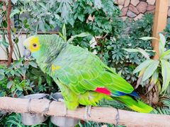 -南宫五洲植物乐园