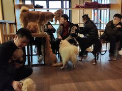 -萌喵咖啡屋(人民东路4号口M16商铺店)