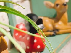 -秀儿家の小确幸融合西餐厅(万达店)