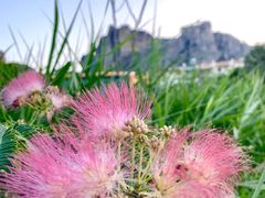 -梅黛奥拉修道院