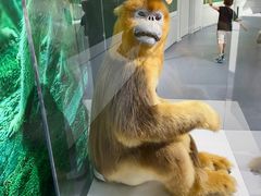 -中国湿地博物馆