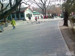 -紫竹院公园冰场