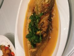 红烧大黄鱼-好彩酒楼烤鸭坊