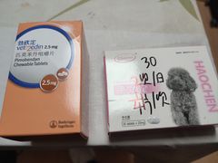 -中国农业大学动物医院