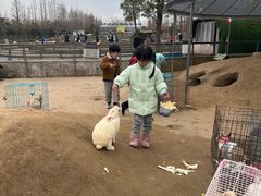 -前小桔亲子创意农场·草莓采摘·露营烧烤