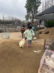 -前小桔亲子创意农场·草莓采摘·露营烧烤