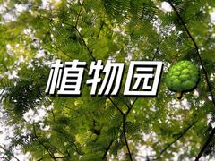 -国家植物园