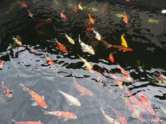 景观位-顺德了能馆(虎门店)