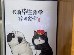-康爱犬猫诊所·牙专科·骨外科·影像内科(丰宁店)