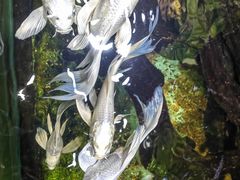 -太平洋海底世界