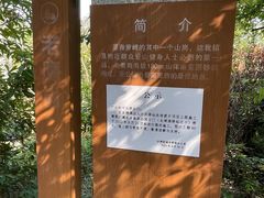 -滴水岩森林公园