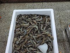 -渔人湾码头海鲜市场负二楼