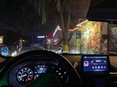 -枫花园汽车电影院(朝阳公园店)