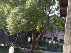 -得丘礼享谷·玉兰苑