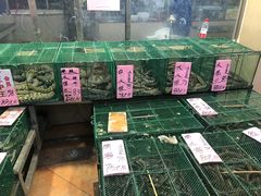 -荔城生鲜盛宴(番禺旗舰店)