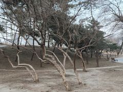 -元大都城垣遗址公园