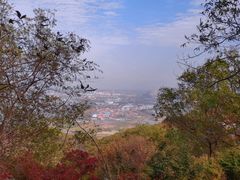 -紫金山山顶公园