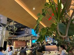 -桂满陇·海市蜃楼·黑金(国金店)