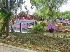 -鹅湖玫瑰文化园