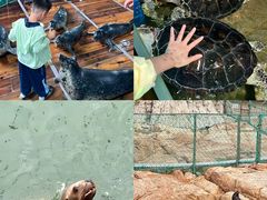 -西霞口神雕山野生动物世界