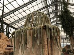 -南通洲际绿博园